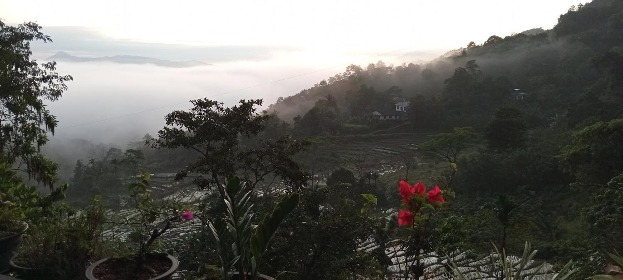 Kandy Ivy Mountain View Resort Kamer foto