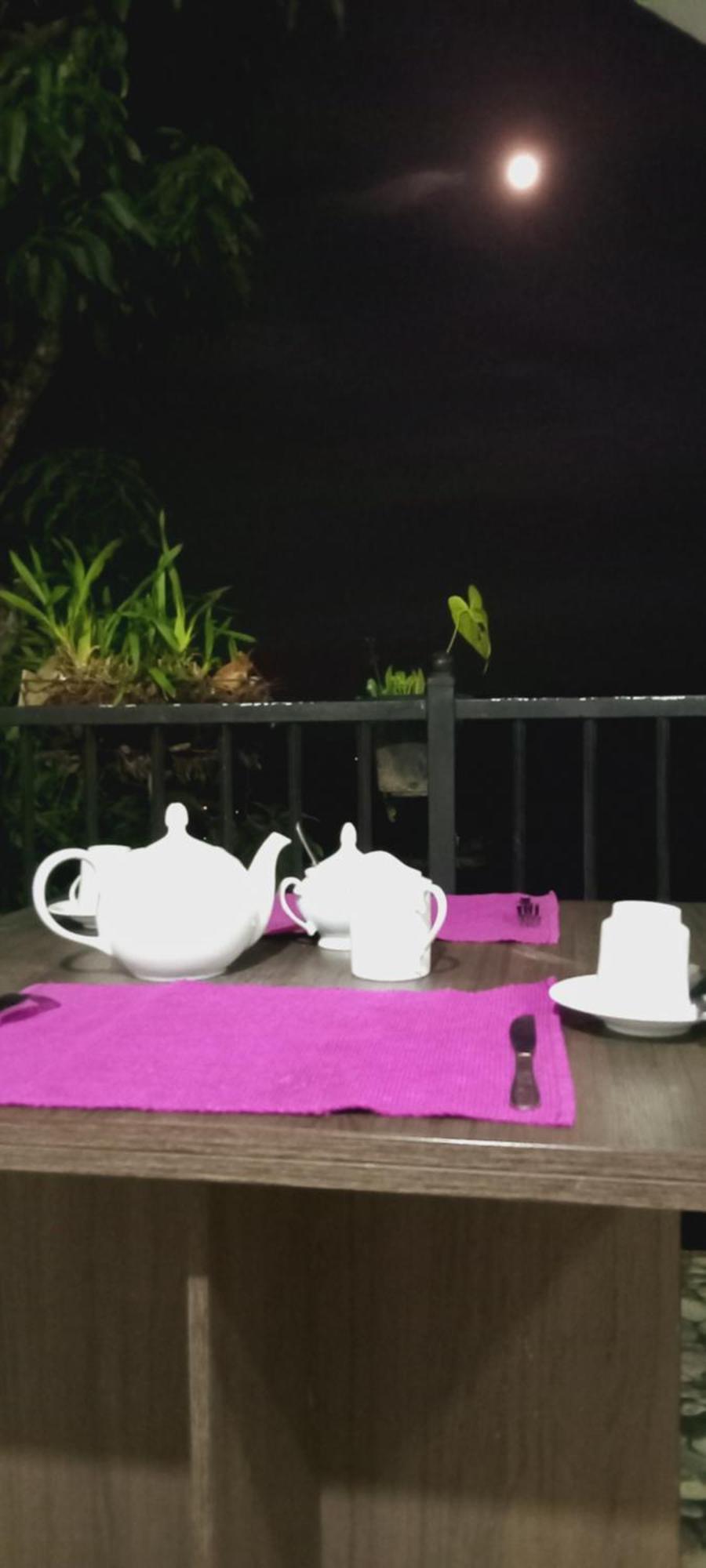 Kandy Ivy Mountain View Resort Kamer foto