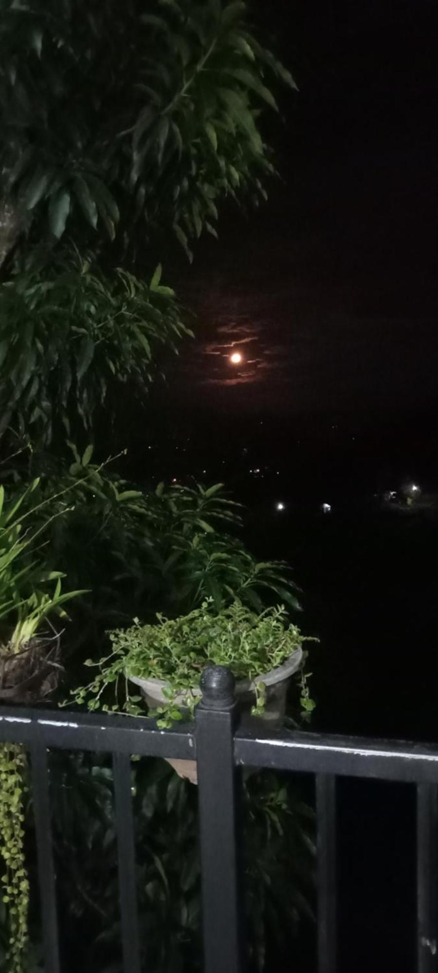 Kandy Ivy Mountain View Resort Kamer foto