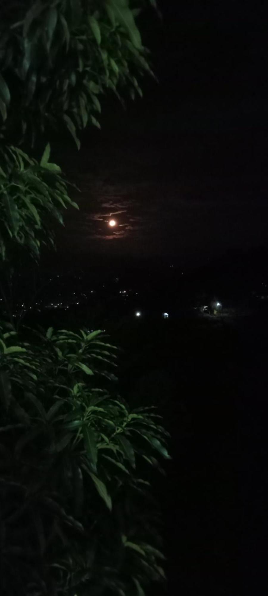 Kandy Ivy Mountain View Resort Kamer foto
